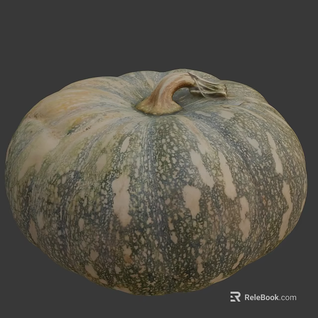 Fresh Organic Green And White Speckled Pumpkin Vegetable With Textured Round Surface 3d model 