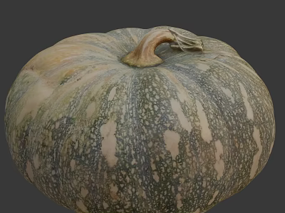 Fresh Organic Green And White Speckled Pumpkin Vegetable With Textured Round Surface 3d model
