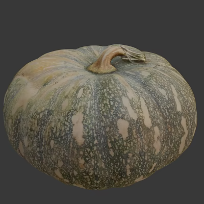 Fresh Organic Green And White Speckled Pumpkin Vegetable With Textured Round Surface 3d model