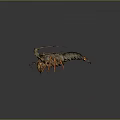 Detailed Lobster With Orange Claws Long Antennae And Dark Segmented Shell On Dark Background
