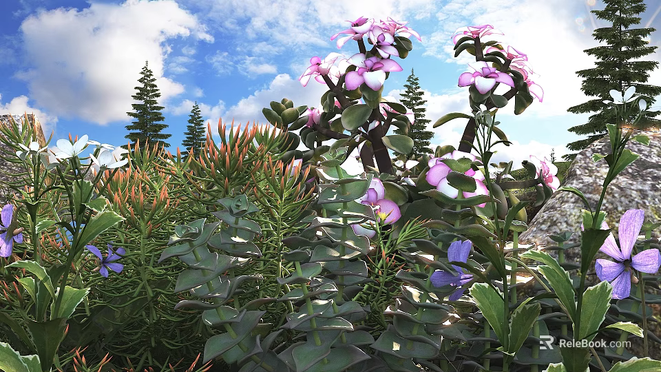 Green Leaf Succulents With Pink Flowers In Sunlit Garden Under Blue Sky And Clouds 3d model 