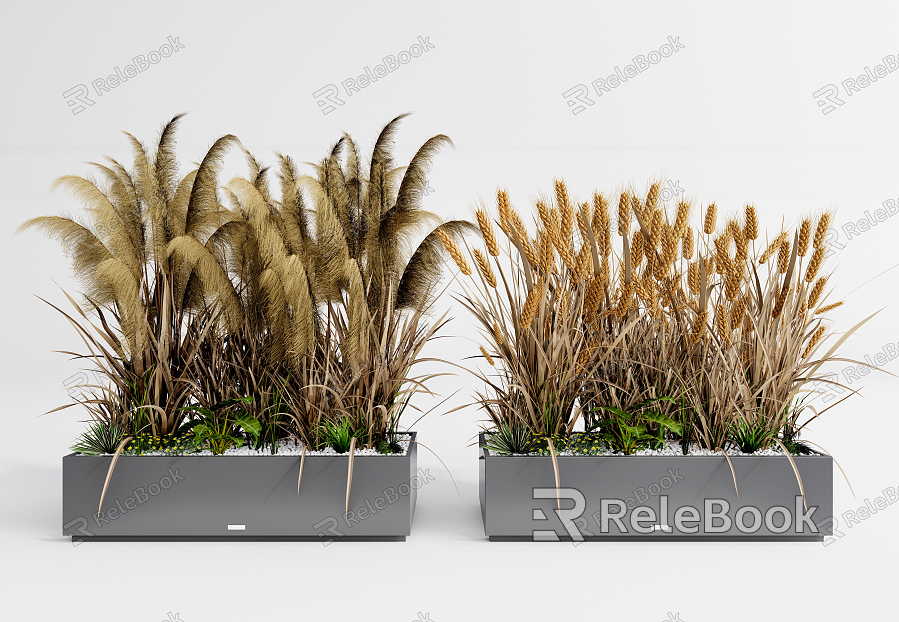 Modern potted plant potted reed grass wheat plant model