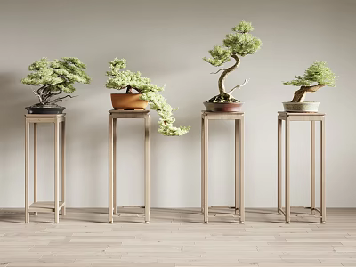 Minimalist Wooden Plant Stands With Bonsai Plants In Indoor Home Decor 3d model