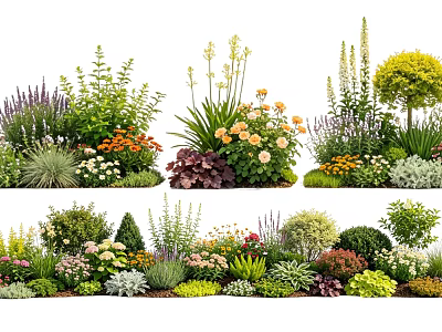 Diverse Garden Plant Combinations Featuring Flowering Shrubs Herbs And Colorful Blooms 3d model