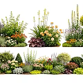Diverse Garden Plant Combinations Featuring Flowering Shrubs Herbs And Colorful Blooms