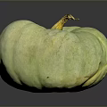 Organic Fresh Green Pumpkin With Smooth Surface On Dark Reflective Background