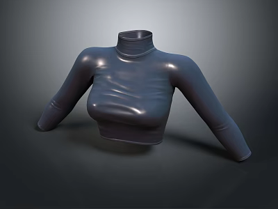 Gray Turtleneck Crop Top With Long Sleeves Shiny Fitted Apparel Design 3d model