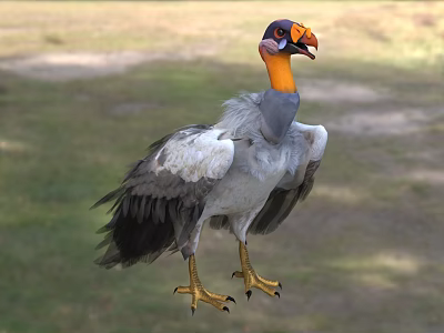 Vulture With Orange Neck Yellow Beak And Gray White Feathers Standing On Grassland 3d model