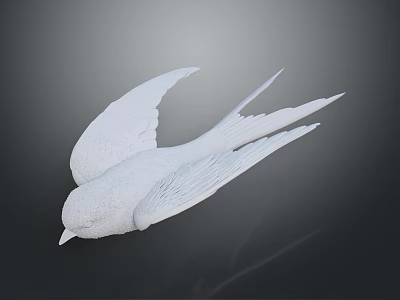 Graceful White Swallow With Fully Spread Wings Against Dark Background 3d model