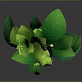 Elegant Green Plant with Slender Stem Leaves and Small Flowers on Gray Background
