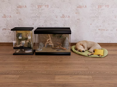 Eco Box Lizard Dog Pet Dog 3d model