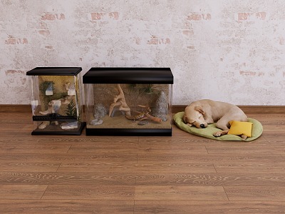 Eco Box Lizard Dog Pet Dog 3d model