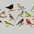Modern 2D Birds Magpie Dove Sparrow Swift Silhouette 3d model