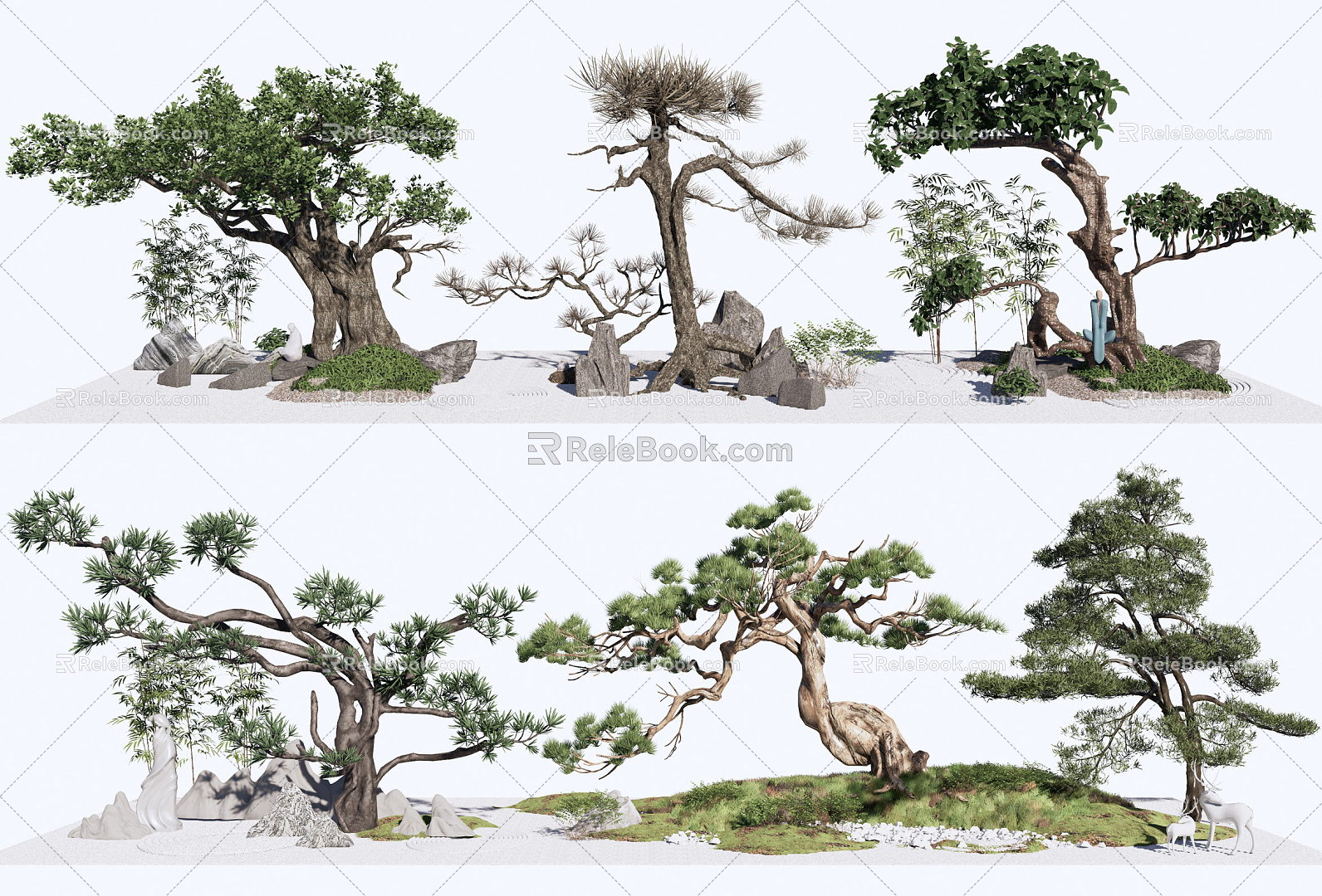 Chinese pine model