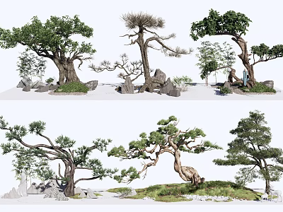 Various Forms of Arbor in Natural Landscape with Rocks and Grass Elements 3d model