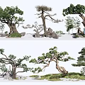 Various Forms of Arbor in Natural Landscape with Rocks and Grass Elements