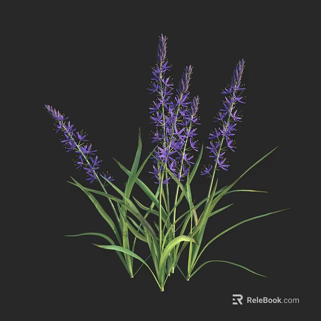 Tall Purple Flowers With Green Leaves On Slender Stems Isolated On Black Background 3d model 