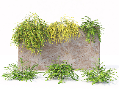 modern plant wall green plant wall 3d model