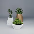 Elegant Tea Set With Marble And Wooden Accents Decorated By Small Green Plants