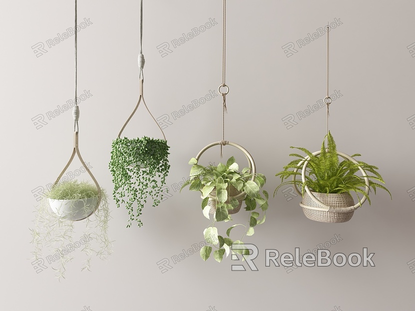 Modern hanging basket potted plant model