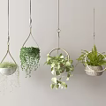 Lush Indoor Hanging Plants In Woven Hanging Baskets With Green Leaves