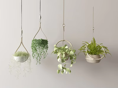 Lush Indoor Hanging Plants In Woven Hanging Baskets With Green Leaves 3d model