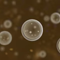 Round Transparent Bubbles Floating On Brown Background With Small Colorful Particles