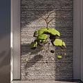 Modern Indoor Landscape Design Featuring Textured Wall And Hanging Plant Installation With Green Leaves