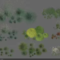 Assorted Grasses and Shrubs in Various Sizes Shapes and Foliage Colors