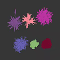 Various Flowers and Plants Featuring White Feathery Grayish Yellow Purple Blooms on Gray Background