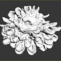 White Textured Plant Sculpture with Detailed Protrusions on Black Polished Surface and Reflection