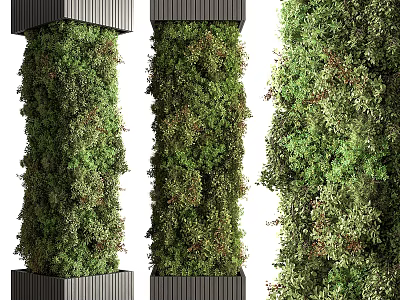 Vertical Green Wall Structures With Lush Plants 3d model