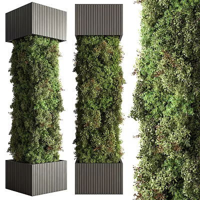 Vertical Green Wall Structures With Lush Plants 3d model