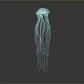 Blue Green Jellyfish With Long Tentacles Against Gradient Gray To Black Background