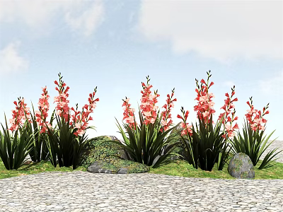 Beautiful Pink Flowers Lush Green Leaves And Stones On Pebble Path Under Blue Sky 3d model
