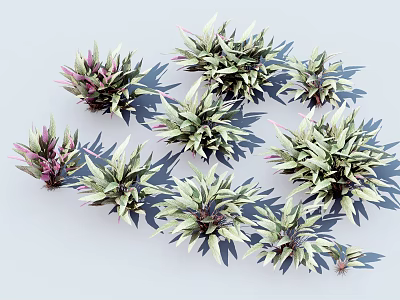 Assorted Clustered Variegated Leaf Plants With Green Pink Foliage On Light Background 3d model