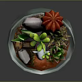 Small Rabbit Doll With Succulent Plants In Transparent Glass Bowl Decoration