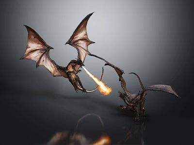 Mythical Dragons Clashing Mid Air One Breathing Fire With Outstretched Wings 3d model