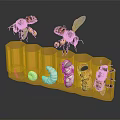 Flying Insect Bees In Honeycomb Structure With Larvae Pupa And Adult Life Stages