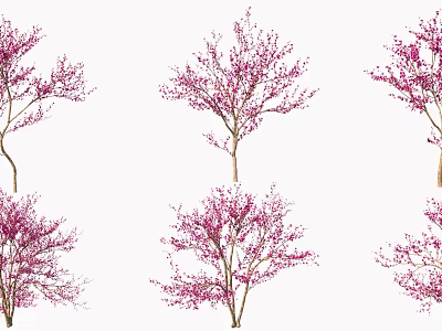 Beautiful Blooming Trees With Pink Flowers Displaying Multiple Natural Shapes 3d model