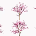Beautiful Blooming Trees With Pink Flowers Displaying Multiple Natural Shapes 3d model