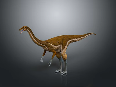 Realistic 3D Dinosaur Model With Long Neck Brown Skin Standing Posture And Gray Background 3d model