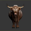 Highland Cow With Long Fluffy Brown Coat And Curved Horns