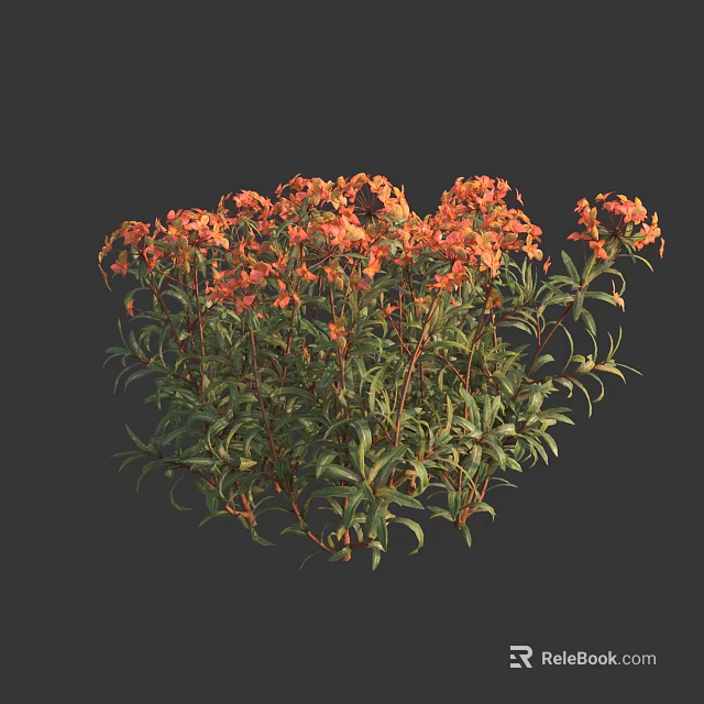 Vibrant Orange Red Flowers With Lush Green Leaves In Garden Plant 3d model 