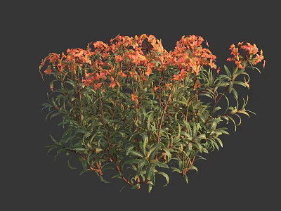 Vibrant Orange Red Flowers With Lush Green Leaves In Garden Plant 3d model