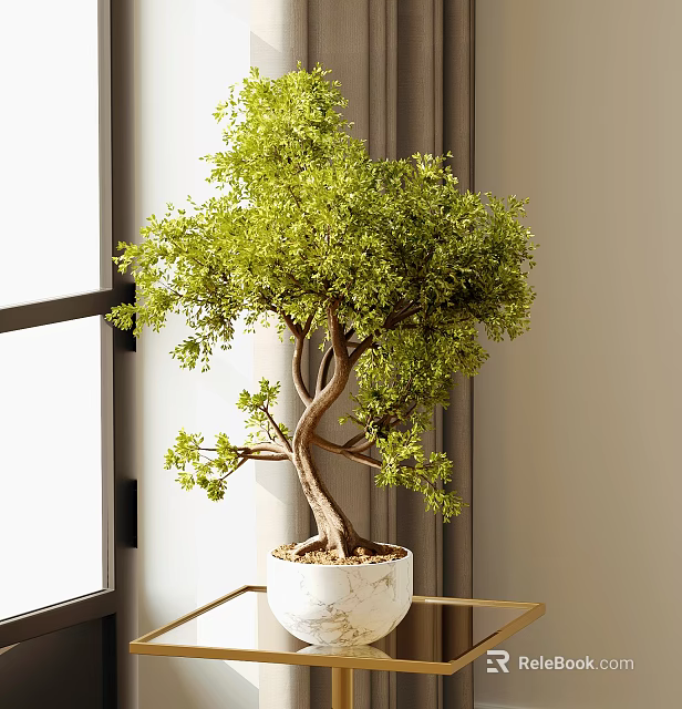 Bonsai Plant with Lush Green Leaves in White Pot by Window on Table 3d model 