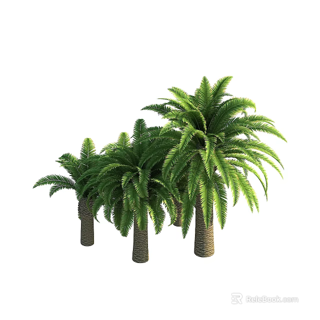 Lush Tropical Palm Trees With Green Fronds And Brown Trunks 3d model 