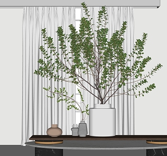 Modern Bonsai Green Plant 3d model