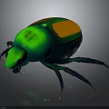 Colorful Shiny Beetle with Green Body Yellow Patches and Blue Legs