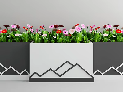 Colorful Potted Plants in Rectangular White Dark Gray Pots With Mountain Pattern and Green Leaves 3d model
